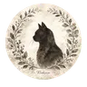 Radexiaのプロフィール画像
