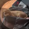 zborkataky님의 프로필 사진