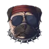 Profile picture of Digital Patrol