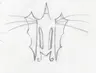 Profile picture of Anguri 11