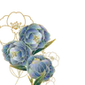 Profile picture of Canni