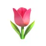 Profile picture of Raafa