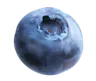 Profile picture of isobel