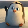 Profile picture of nck