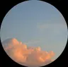 Profile picture of Chiara